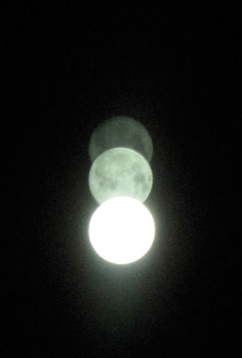 上海 ETC..._c0108595_2173014.jpg
