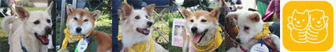 第65回ちばわん いぬ親会in湘南(第7回)のご報告_d0027698_15372614.gif