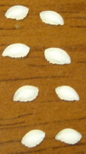 b0189200_20171387.jpg