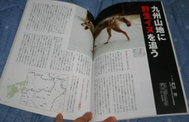 c0155902_22442139.jpg