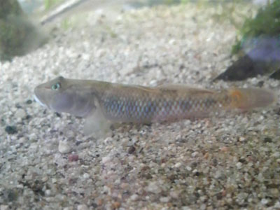 f0082402_14595291.jpg