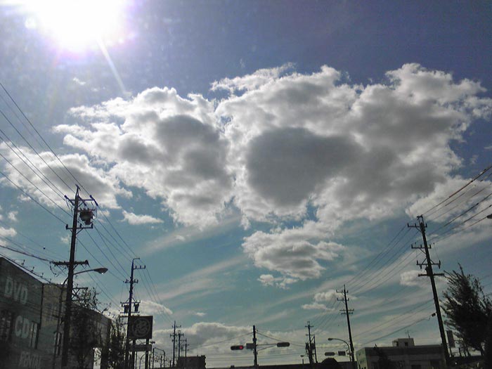 c0067206_20435882.jpg