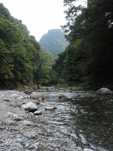e0066210_1638266.jpg