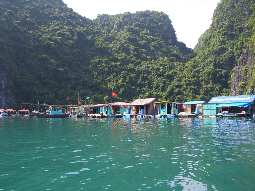 b0093515_7551765.jpg
