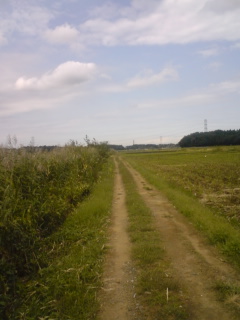b0121015_23144320.jpg