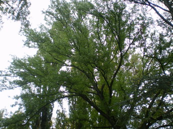 c0124619_0115175.jpg