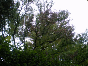 c0124619_013535.jpg