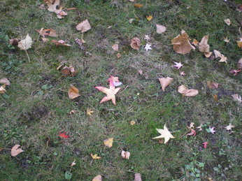 c0124619_014145.jpg