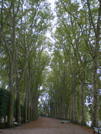 c0124619_014721.jpg