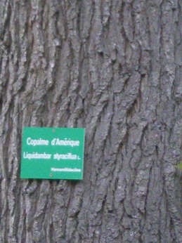 c0124619_0175481.jpg