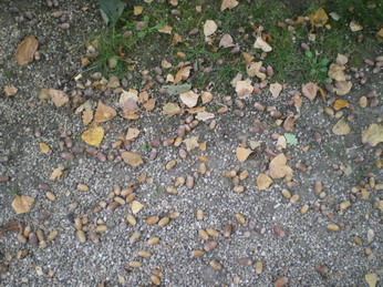 c0124619_0201384.jpg