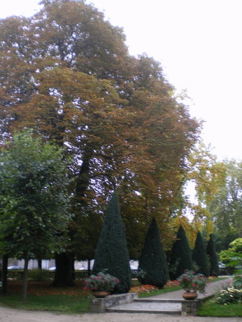 c0124619_0205134.jpg