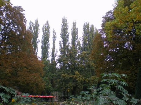 c0124619_0212286.jpg