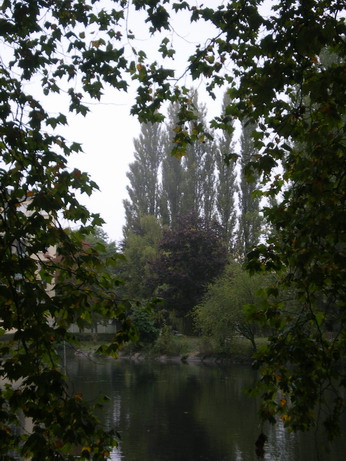 c0124619_032578.jpg