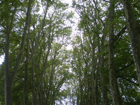 c0124619_042517.jpg