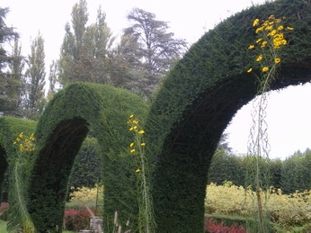 c0124619_0543199.jpg