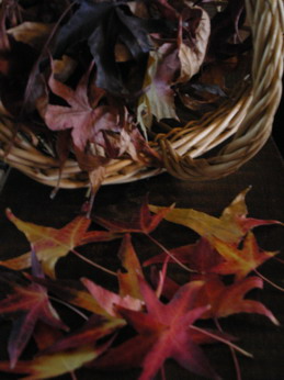 c0124619_0565861.jpg