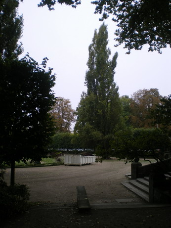 c0124619_061732.jpg