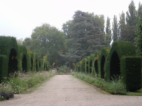 c0124619_082930.jpg