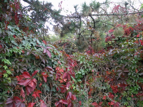 c0124619_114077.jpg