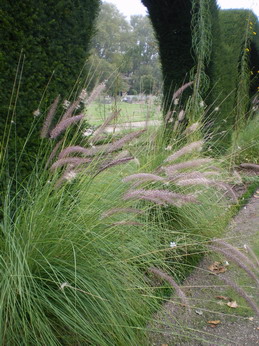 c0124619_1222115.jpg