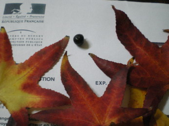 c0124619_18373.jpg