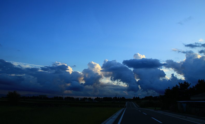 d0113821_1854539.jpg