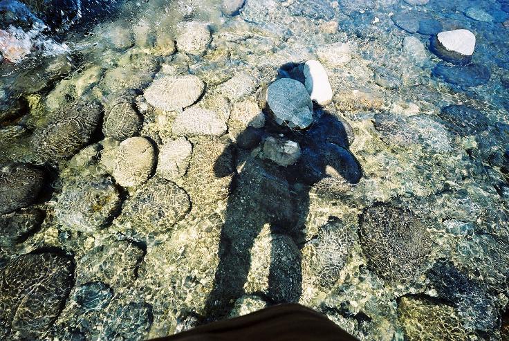 c0215925_2011816.jpg