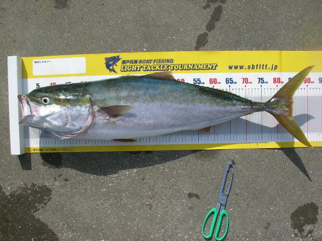a0132631_204571.jpg