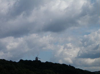 a0054240_2051559.jpg