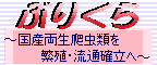 ハードです！まだまだ続くよ、イベントサーキット。_e0191842_949548.gif