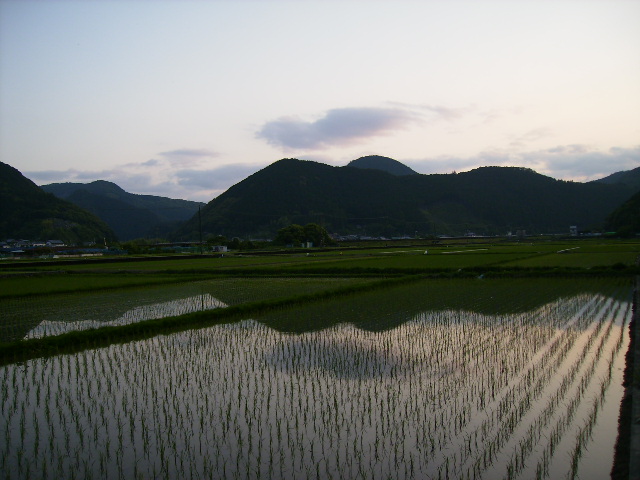 甦る日の喜び　最終回_a0129148_15542096.jpg