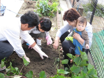 秋の味覚の代表選手サツマイモの収穫_b0100062_2118638.jpg
