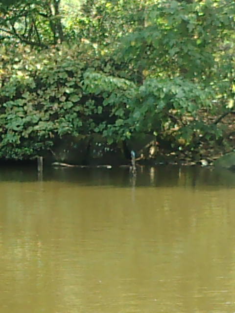 d0032363_19524880.jpg