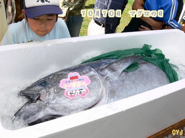 １０月１０日・マグロの日_f0166871_13342795.jpg