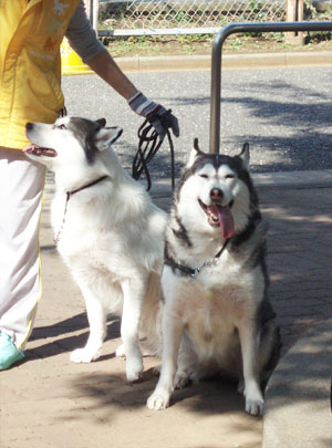c0161772_225875.jpg
