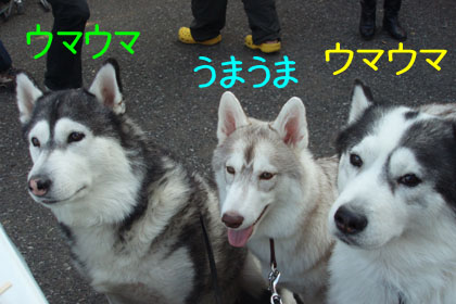 c0161772_23155494.jpg