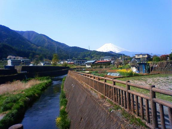 山梨県 桂川 釣りときどきｊａｚｚ