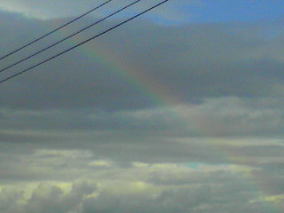 b0080090_20364069.jpg