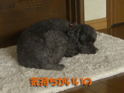 e0013900_13165090.jpg