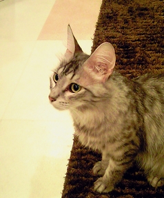 c0181601_1341181.jpg
