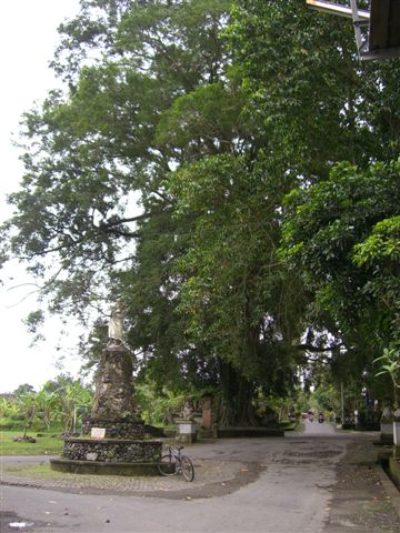 a0057402_921139.jpg