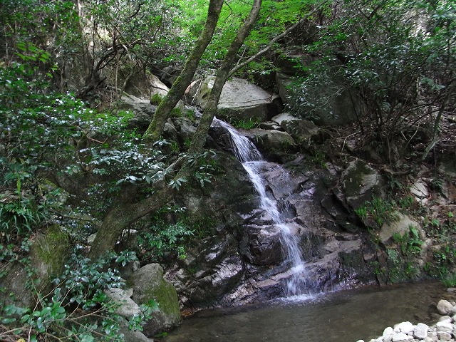 f0187402_20584229.jpg