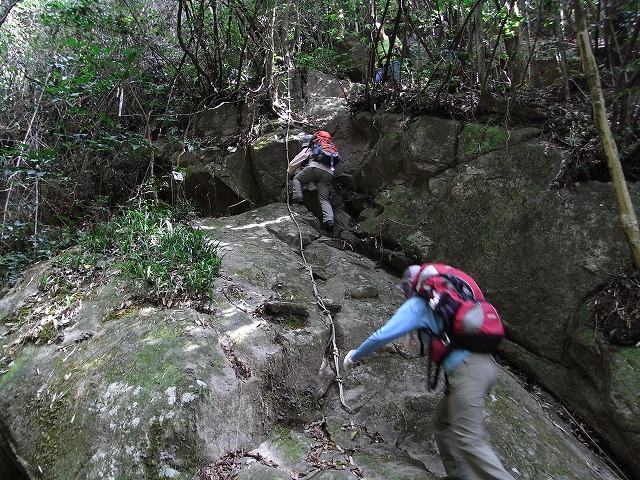 \'09-10：宝満山（猫谷川新道）_f0187402_20585696.jpg