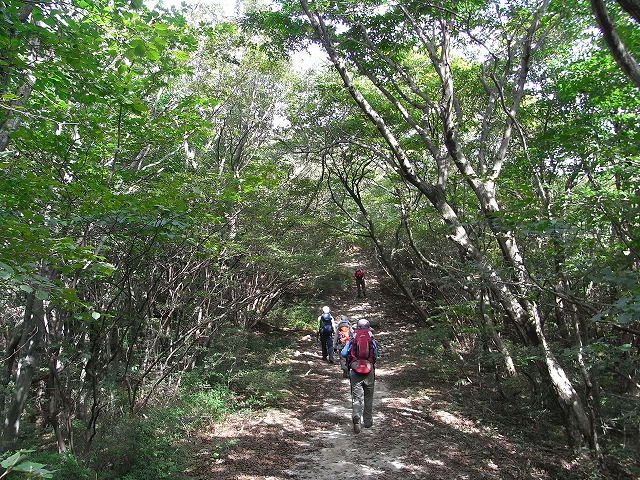 \'09-10：宝満山（猫谷川新道）_f0187402_2104610.jpg