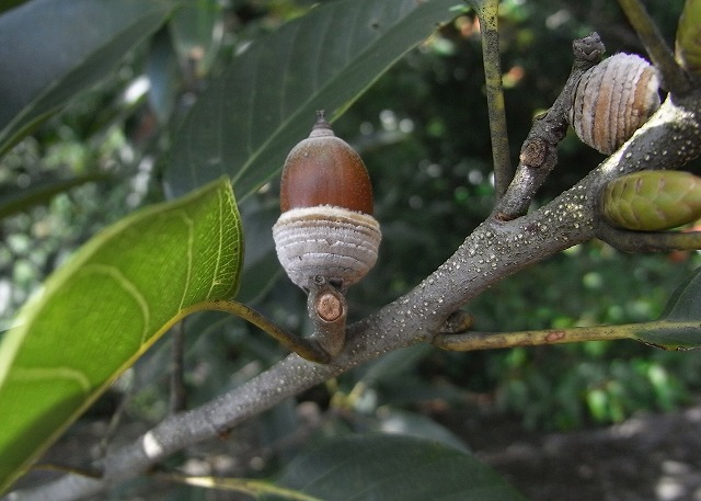 f0187402_210715.jpg