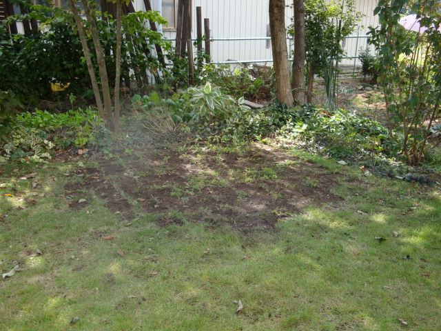 e0175905_2044971.jpg