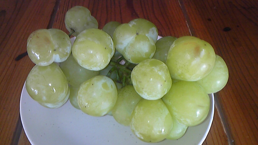 c0181908_13282993.jpg