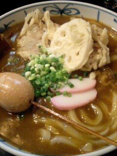 この際、カレーうどんを並べてみよう！_c0033210_1031114.jpg