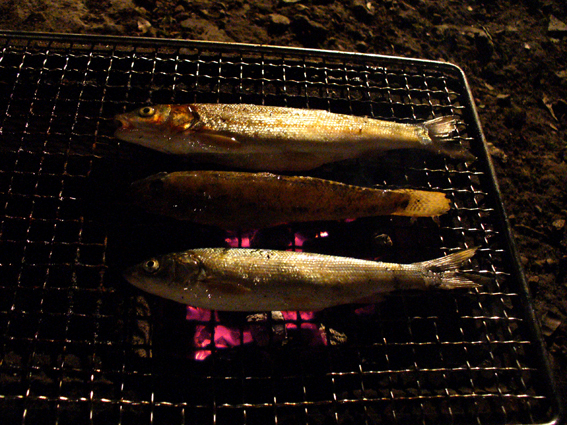 e0015915_8113717.jpg
